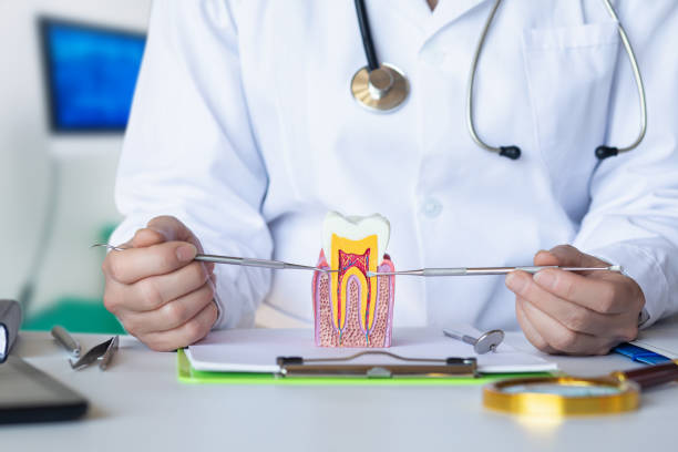 Trusted LA Emergency Dentist Experts